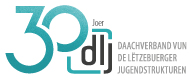Daachverband vun de Lëtzebuerger Jugendstrukturen - Den Dachverband vun den Jugendhäiser
