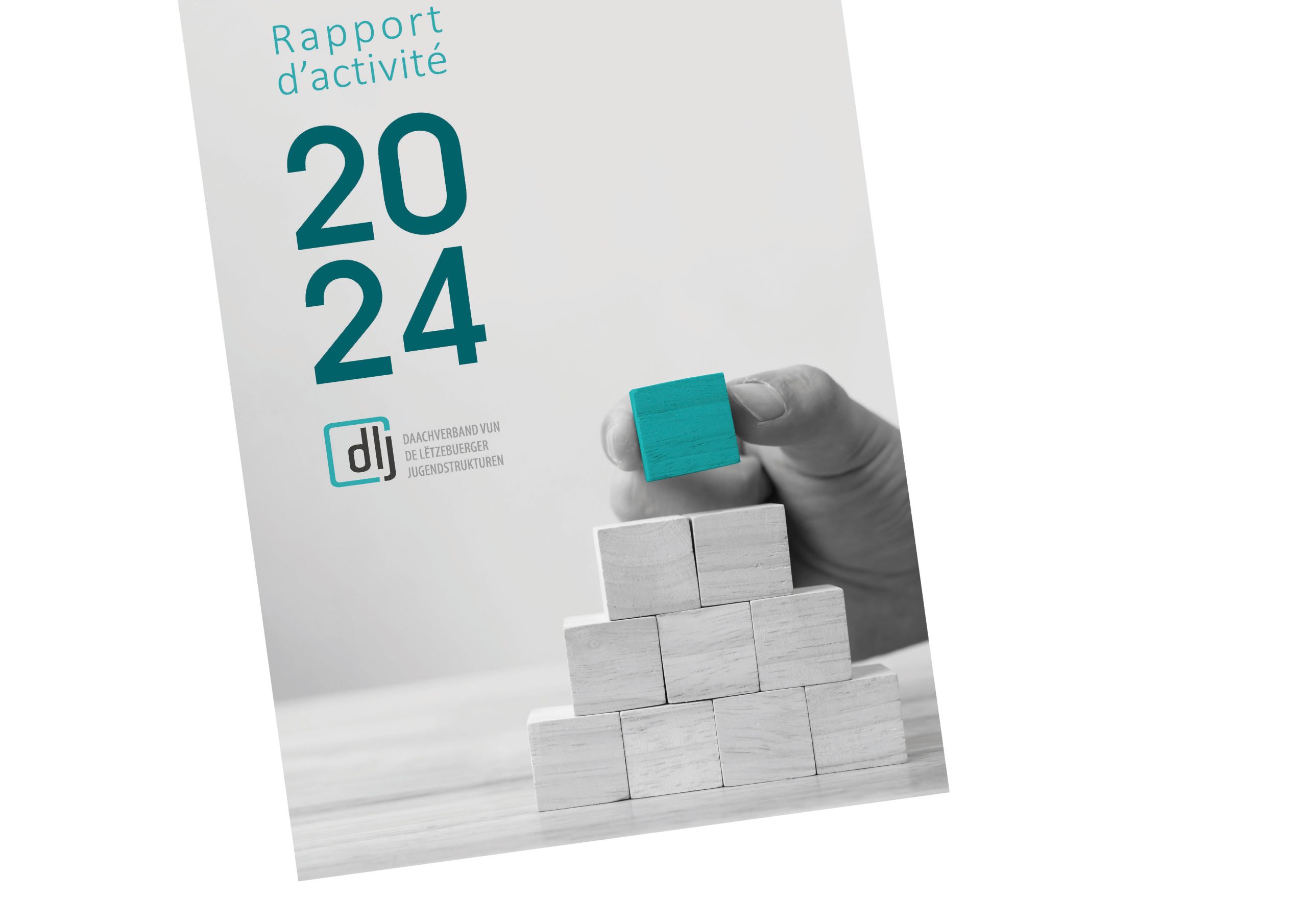 Rapport d'Activité 2024